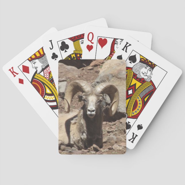 Baralho Cartões Ram (Verso)