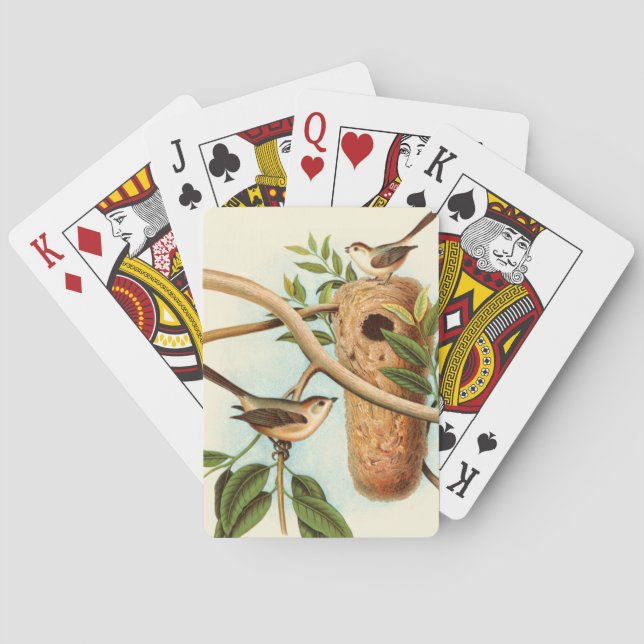 Baralho Casal de pássaro em um ninho preso em uma ramifica (Verso)