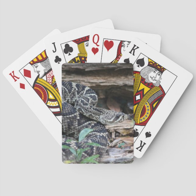 Baralho Cascavel (Verso)