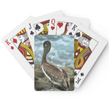 Castanho Pelicano pelo Oceano