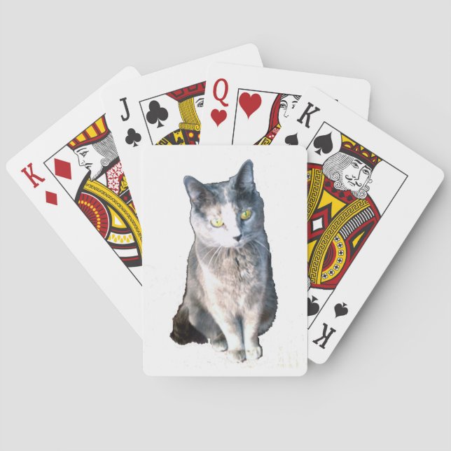 Baralho Cat 11 Cartões de Reprodução (Verso)