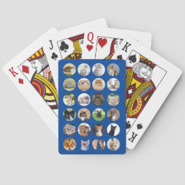 Baralho Cat Lovers Poker Cards