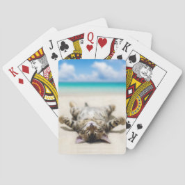 Baralho Cat Sunbelt na praia