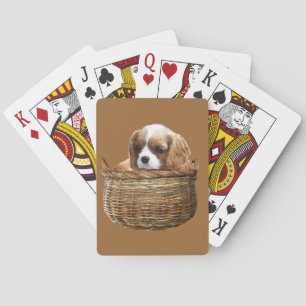 Baralho Cavaleiro Rei Charles Spaniel