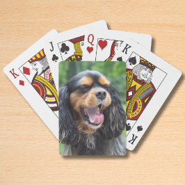 Baralho Cavalier King Charles Spaniel bocejando