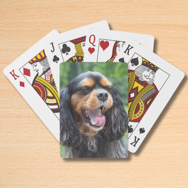 Baralho Cavalier King Charles Spaniel bocejando (Criador carregado)