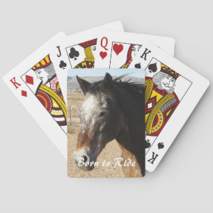 Baralho Cavalo bonito do Appaloosa - ocidental