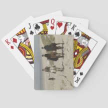 Cavalo da Manhã na Praia (por Anton Mauve)