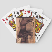 Cavalo de Baía Vermelha nos estábulos