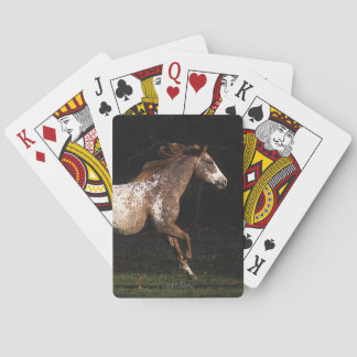 Baralho Cavalo do Appaloosa que funciona 4