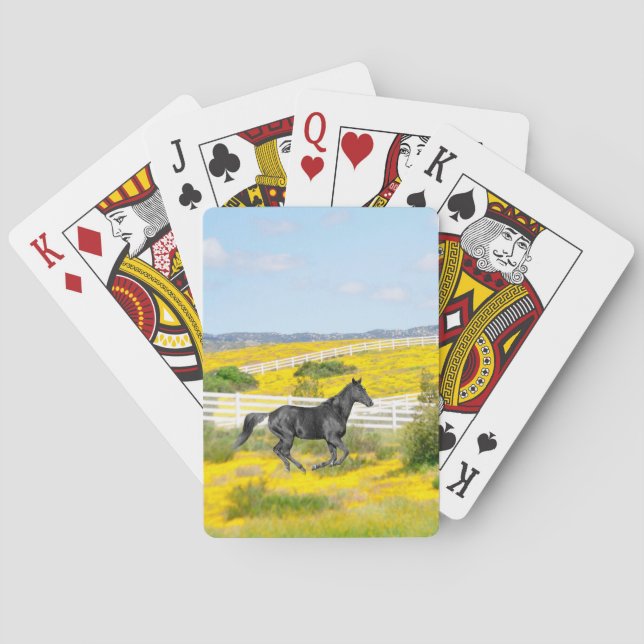 Baralho Cavalo Negro Correndo em Cartões de Jogada em Camp (Verso)