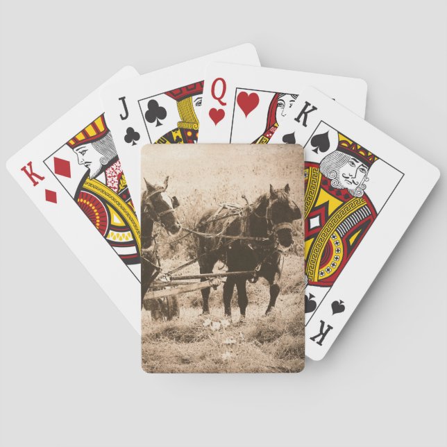 Baralho Cavalos Amish em Trabalho (Verso)