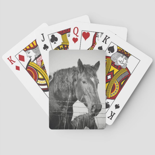 Baralho Cavalos atrás da cerca em preto e branco (Verso)