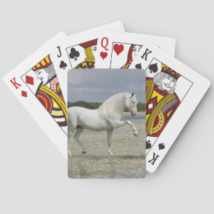 Baralho Cavalos da fantasia: Senhor do lago