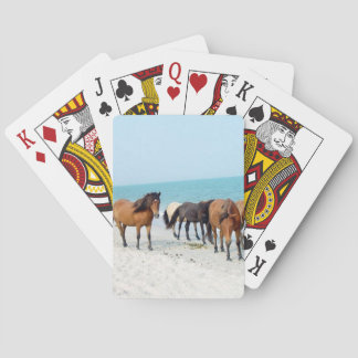 Baralho Cavalos no litoral nacional de Assateague