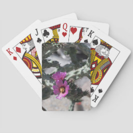 Baralho Challa Cactus em flor