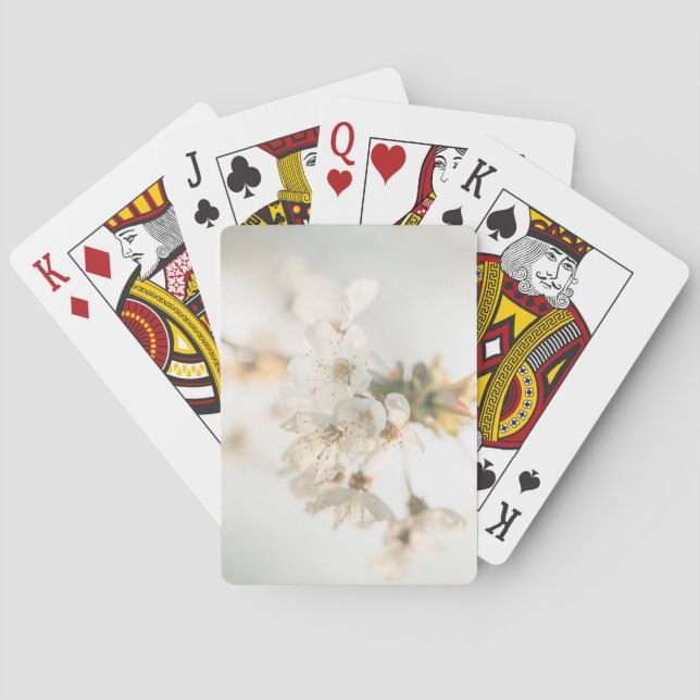 Baralho Cherry Blossom Nature Photo (Verso)