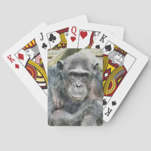 BARALHO CHIMPANZÉ BONITO