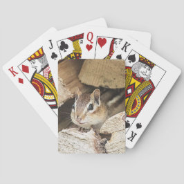 Baralho Chipmunk numa pilha de madeira