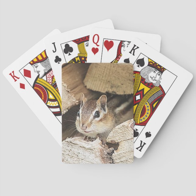 Baralho Chipmunk numa pilha de madeira (Verso)