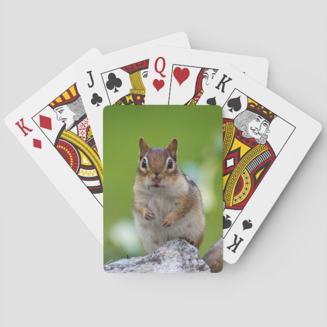 Baralho Chipmunk que senta-se em uma rocha (Verso)