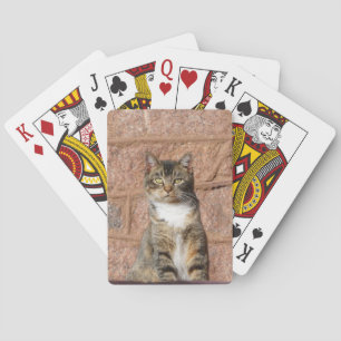 Baralho Church Cat