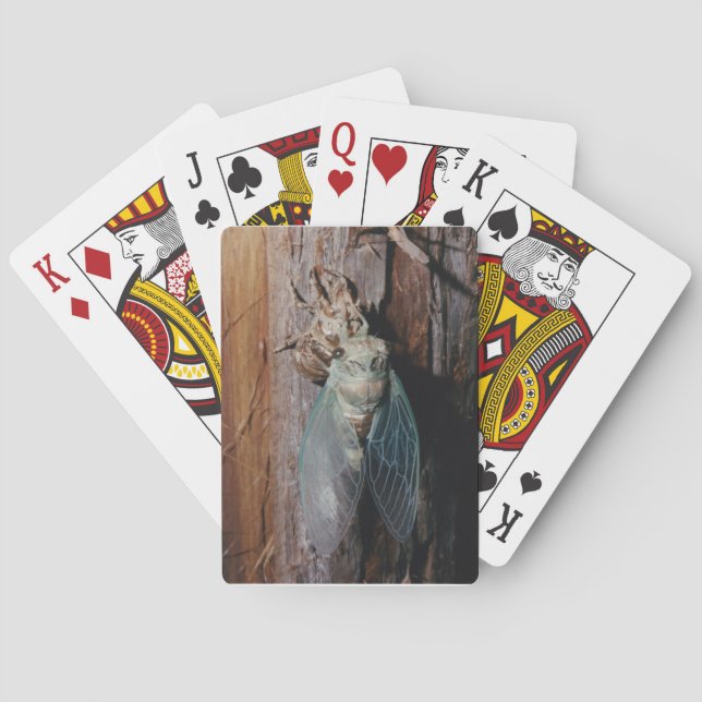 Baralho Cicada seca suas asas (Verso)