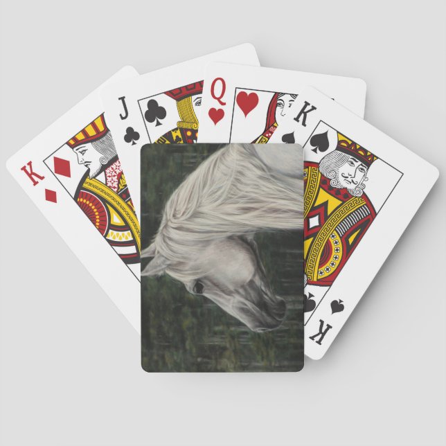 Baralho Cinza de garanhão a olhar à distância (Verso)