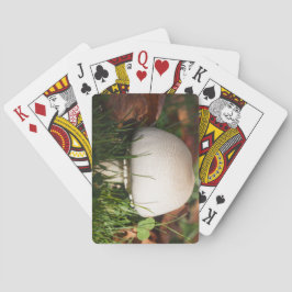 Baralho Cogumelos de campo numa floresta