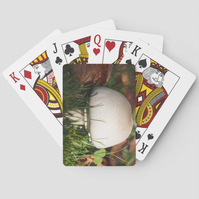 Baralho Cogumelos de campo numa floresta (Verso)