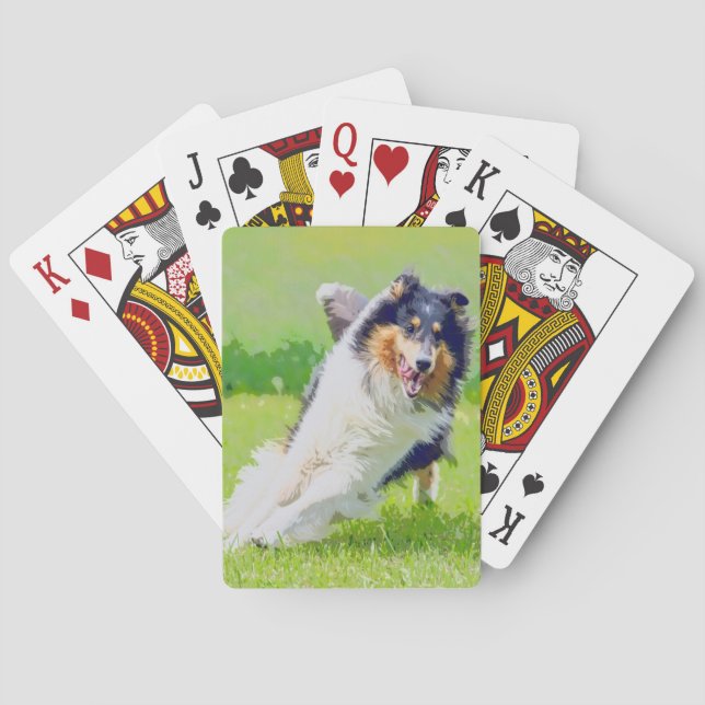 Baralho Collie (Verso)