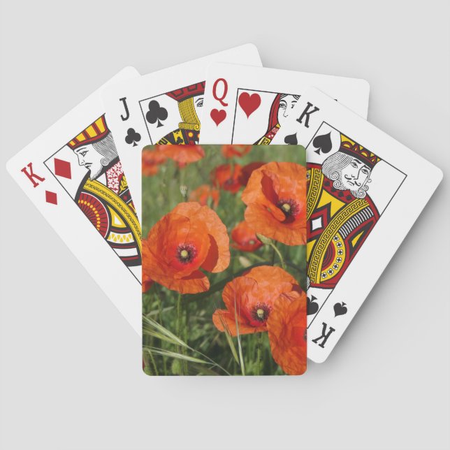 Baralho Common Poppies  (Verso)