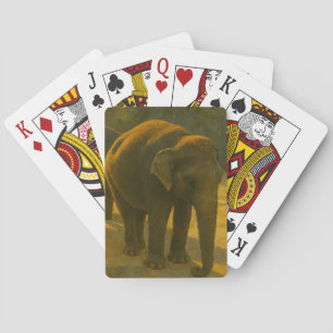 Baralho Companheiros de ouro - Trio de Elefante na Luz Que