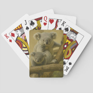 Baralho Companheiros Koala - Impressão de Arte de Vida Sel