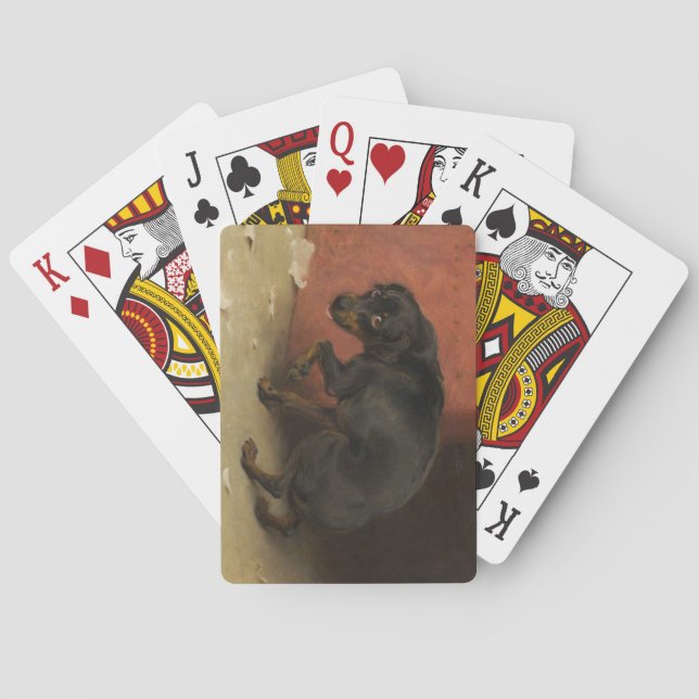 Baralho Consciência Faz Borricas De Todos Nós (Verso)