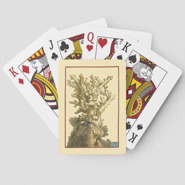 Baralho Coral pelo Mar (Verso)