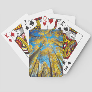 Baralho Cores de outono das árvores Aspen 2