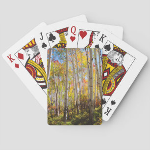Baralho Cores de outono das árvores Aspen 5