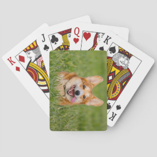 Baralho Corgi Bonito Jogando na Grama