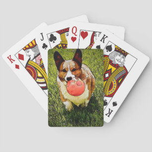 Baralho Corgi de Galês do Pembroke