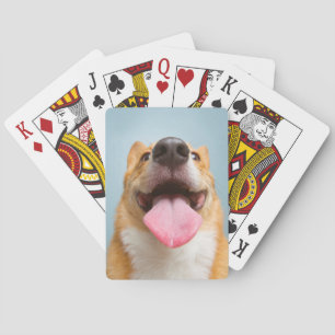 Baralho Corgi muito feliz das imagens de Getty