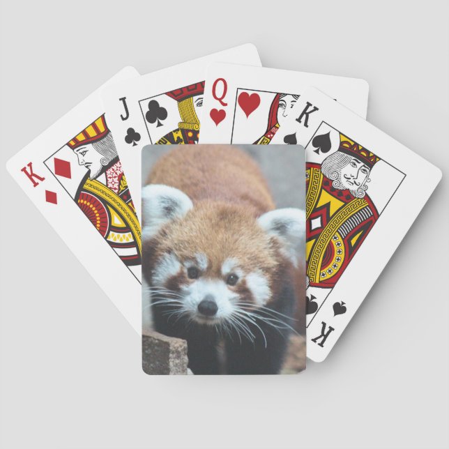 Baralho Coroa (Verso)