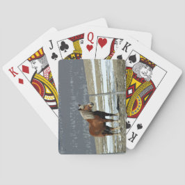 Baralho Coroa Belga, Cartões De Jogar Paddock