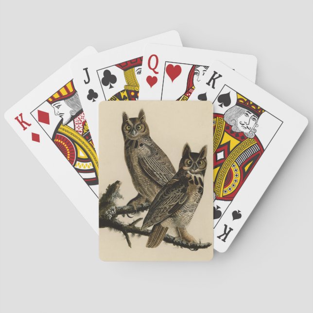 Baralho Corujas excelentes (por John James Audubon) (Verso)