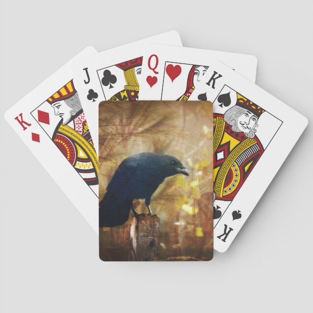 Baralho Corvo/foto do corvo (Verso)