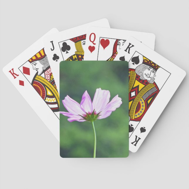 Baralho Cosmos (Verso)