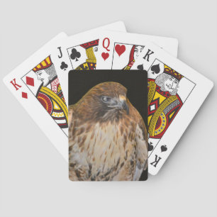 Baralho Crafty Hawk