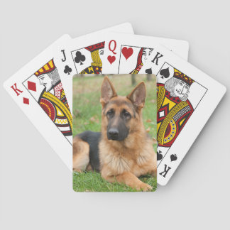 Baralho Create Your Own Pet Photo Custom Picture