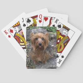 Baralho Crie o seu próprio Pet Personalizado de Fotografia