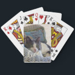 Baralho Crie Seu Próprio Pet De Amor<br><div class="desc">O adorável animal de estimação como um baralho de cartas. Como esse design não poderia melhorar seu jogo? É muito fácil para você carregar sua própria foto de animal de estimação e para você personalizar isso com o nome do seu animal de estimação. Uma maneira divertida de animar qualquer jogo....</div>